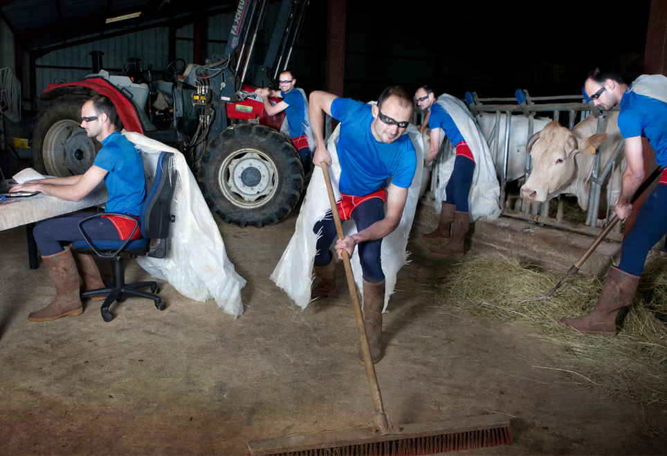 vache-gisclard-photo-sophie-photographe